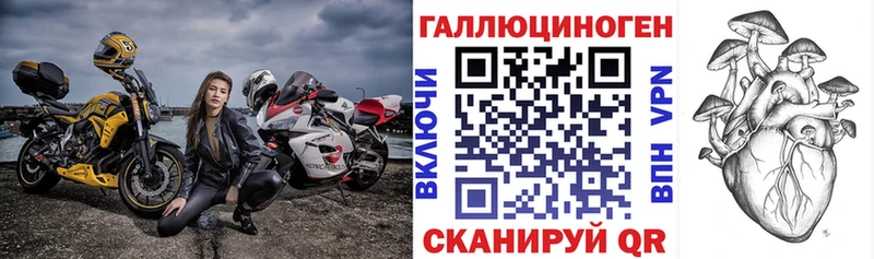Псилоцибиновые грибы Psilocybe  Купить где  Армянск 